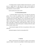 Biznesa plāns 'Uzņēmums SIA "Signuss"', 15.