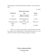 Biznesa plāns 'Uzņēmums SIA "Signuss"', 16.