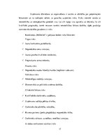 Biznesa plāns 'Uzņēmums SIA "Signuss"', 17.