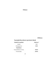 Biznesa plāns 'Uzņēmums SIA "Signuss"', 24.