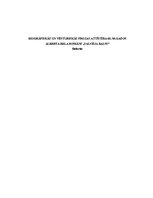 Referāts 'Referāts par Alberta Bela romānu "Saucēja balss"', 1.