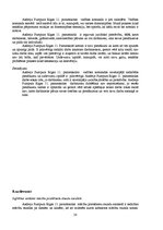 Prakses atskaite 'Skolvadības aktīvā prakse I', 28.