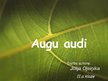 Prezentācija 'Augu audi', 1.
