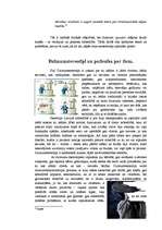 Referāts 'Femina jeb sieviete mūsdienu laika un telpas robežās', 9.