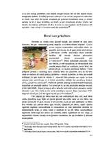 Referāts 'Femina jeb sieviete mūsdienu laika un telpas robežās', 81.