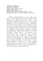 Referāts 'Meksika', 2.