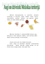 Referāts 'Meksika', 6.