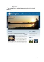 Referāts 'Projektējuma apraksts mājas lapas veidošanai', 31.