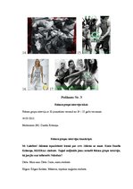 Referāts 'Jauniešu attieksmi pret "Calvin Klein" drukātajām reklamām veidojošie faktori', 4.