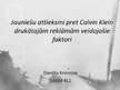 Referāts 'Jauniešu attieksmi pret "Calvin Klein" drukātajām reklamām veidojošie faktori', 34.