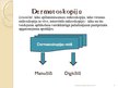 Prezentācija 'Melanomas diagnostika un terapija dermatologa kompetencē', 6.