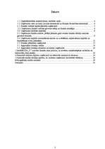 Prakses atskaite 'Prakses pārskats SIA "Y"', 2.