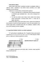 Prakses atskaite 'Prakses pārskats SIA "Y"', 20.