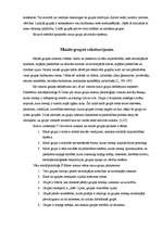 Konspekts 'Mazā grupa kā sociāla sistēma', 3.