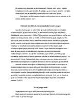 Konspekts 'Mazā grupa kā sociāla sistēma', 4.