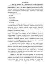 Referāts 'Vardarbība ģimenē', 29.