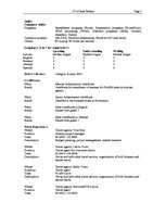 Paraugs 'CV and Motivation Letter / CV un motivācijas vēstule', 7.