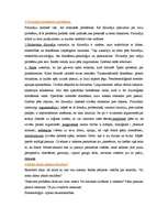 Konspekts 'Filosofija', 2.