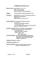 Paraugs 'CV, motivācijas vēstules un pretendenta aptaujas lapas pareiza noformēšana', 1.