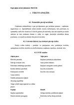 Biznesa plāns 'Biznesa plāns', 7.