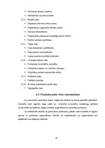 Biznesa plāns 'Biznesa plāns', 10.