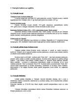 Konspekts 'Ventspils apraksts', 7.