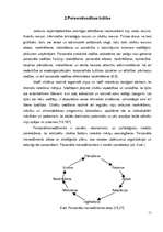 Diplomdarbs 'Personālvadības analīze SIA "N"', 11.