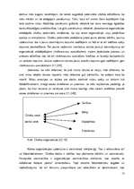 Diplomdarbs 'Personālvadības analīze SIA "N"', 13.
