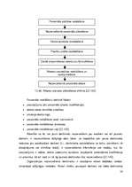 Diplomdarbs 'Personālvadības analīze SIA "N"', 24.