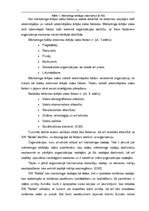 Diplomdarbs 'Mārketings', 7.