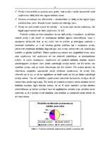 Diplomdarbs 'Mārketings', 22.