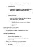 Konspekts 'Audits un revīzija', 3.