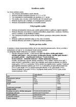 Konspekts 'Audits un revīzija', 15.