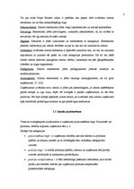 Referāts 'Zīmola "Puma" atpazīstamība Latvijā', 8.