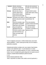 Referāts 'Zīmola "Puma" atpazīstamība Latvijā', 14.