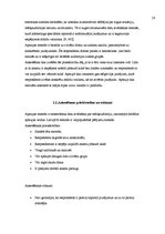 Referāts 'Zīmola "Puma" atpazīstamība Latvijā', 16.