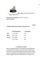 Referāts 'Zīmola "Puma" atpazīstamība Latvijā', 19.