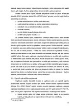 Prakses atskaite 'SIA "KPMG Baltics" audita prakses atskaite', 13.