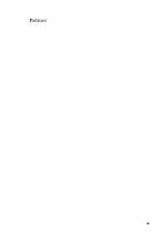 Prakses atskaite 'SIA "KPMG Baltics" audita prakses atskaite', 29.