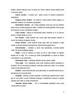 Referāts 'Atpūtas tūrisma iespējas Zemgalē', 18.