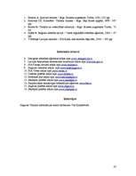 Referāts 'Atpūtas tūrisma iespējas Zemgalē', 35.