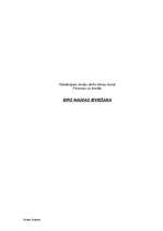 Referāts 'Eiro naudas ieviešana', 1.