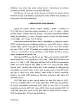 Referāts 'Eiro naudas ieviešana', 9.