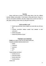 Konspekts 'Lietišķā saskarsme', 35.