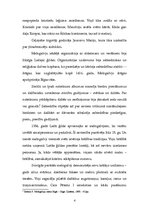 Referāts 'Melngalvju nams - Rīgas simbols', 4.