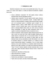 Referāts 'Tūrisma ekonomiskā ietekme. Multiplikatora efekts', 19.