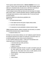 Referāts 'Tūrisma ekonomiskā ietekme. Multiplikatora efekts', 20.