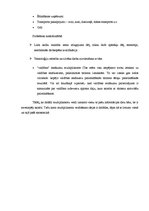 Referāts 'Tūrisma ekonomiskā ietekme. Multiplikatora efekts', 21.