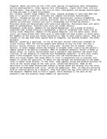 Eseja 'Phyla of Protists', 2.