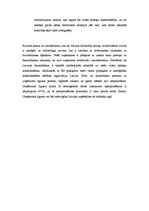 Referāts 'Ārvalstnieku nodarbināšana Latvijā', 25.